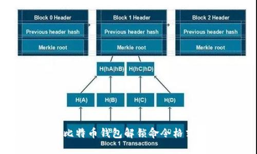全面解析比特币钱包解锁命令格式及其应用