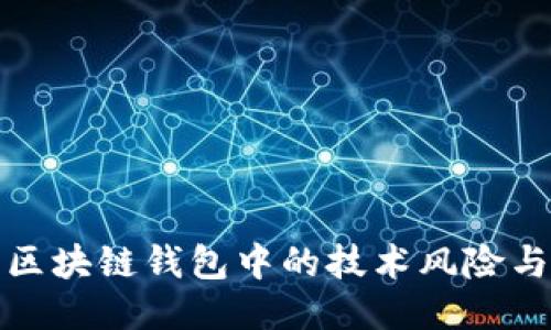 深入探讨区块链钱包中的技术风险与防护策略
