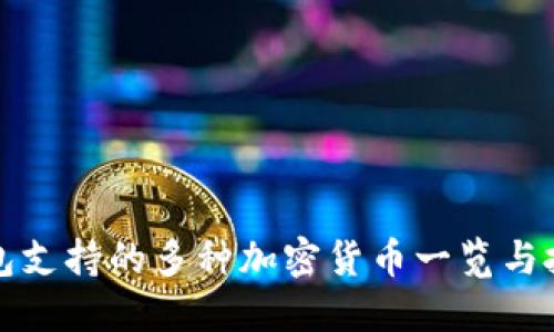 小狐钱包支持的多种加密货币一览与投资指南