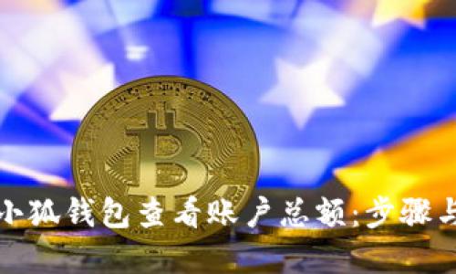 如何通过小狐钱包查看账户总额：步骤与技巧详解