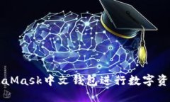如何使用MetaMask中文钱包进行数字资产