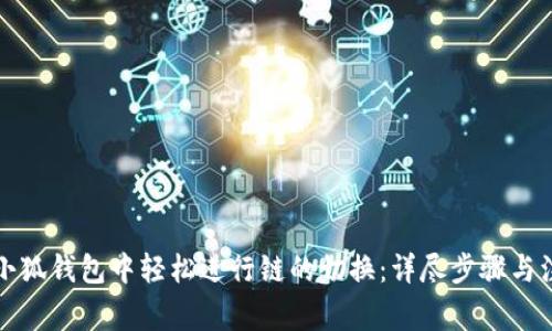 如何在小狐钱包中轻松进行链的切换：详尽步骤与注意事项