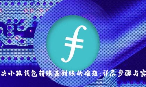 如何解决小狐钱包转账未到账的难题：详尽步骤与实用技巧