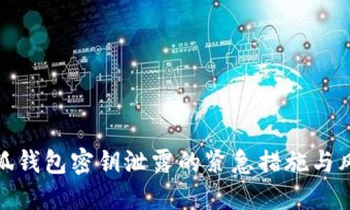如何应对小狐钱包密钥泄露的紧急措施与风险缓解策略