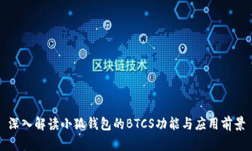 深入解读小狐钱包的BTCS功能与应用前景