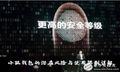 小狐钱包的潜在风险与使用限制详解