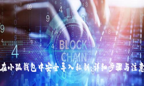 如何在小狐钱包中安全导入私钥：详细步骤与注意事项