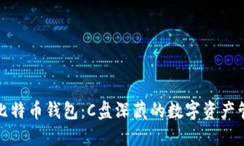 寻找比特币钱包：C盘深藏的数字资产管理地