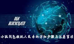 小狐钱包提现人民币的详细步骤与注意