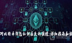 如何应对比特币钱包私钥丢失的困境：