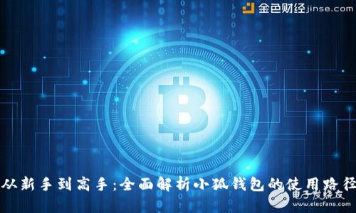 从新手到高手：全面解析小狐钱包的使用路径