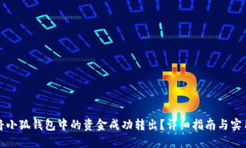 如何将小狐钱包中的资金成功转出？详细指南与实用技巧