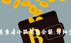 如何快速查看小狐钱包余额：详细步骤