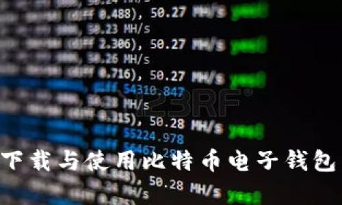 如何安全有效地下载与使用比特币电子钱包：推荐与操作指南