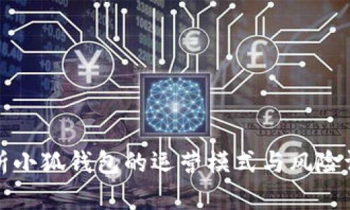 分析小狐钱包的运营模式与风险评估