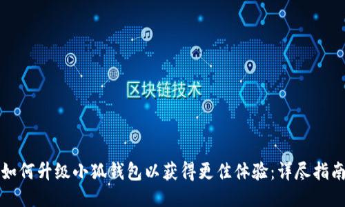 如何升级小狐钱包以获得更佳体验：详尽指南
