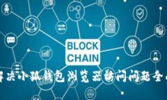 如何解决小狐钱包浏览器访问问题全面