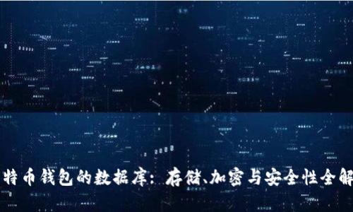 比特币钱包的数据库: 存储、加密与安全性全解析
