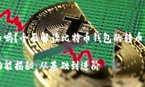 比特币钱包可以转币吗？全面解读比特币钱包的转币功能及其背后的原理

比特币钱包转币的功能揭秘：从基础到进阶