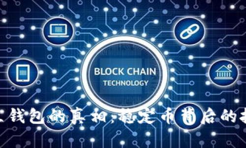  USDT没有独立钱包的真相：稳定币背后的技术与机制解析