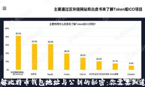 
深入了解比特币钱包地址与公钥的秘密：你需要知道的一切