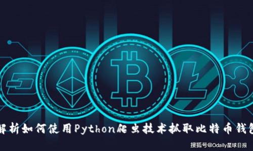 全面解析如何使用Python爬虫技术抓取比特币钱包信息