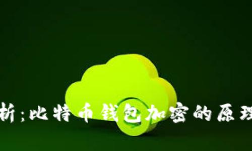 全面解析：比特币钱包加密的原理与方法