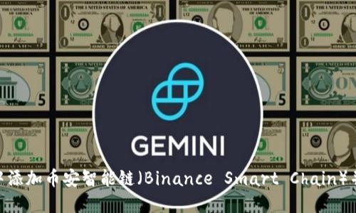 如何在MetaMask中添加币安智能链（Binance Smart Chain）并管理您的加密资产