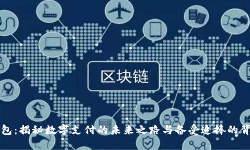 小狐钱包：揭秘数字支付的未来之路与备受追捧的背后公司