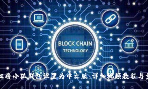 如何轻松将小狐钱包设置为中文版：详细视频教程与步骤指南