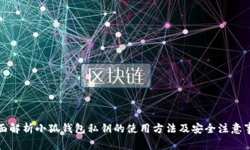 全面解析小狐钱包私钥的使用方法及安全注意事项
