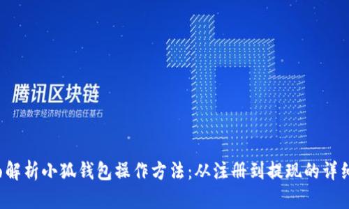  全面解析小狐钱包操作方法：从注册到提现的详细指南