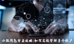  小狐钱包分身攻略：如何高效管理多