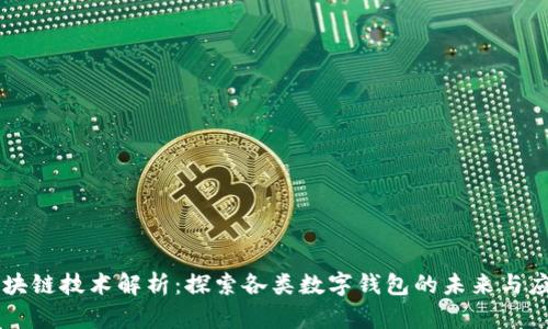 区块链技术解析：探索各类数字钱包的未来与应用