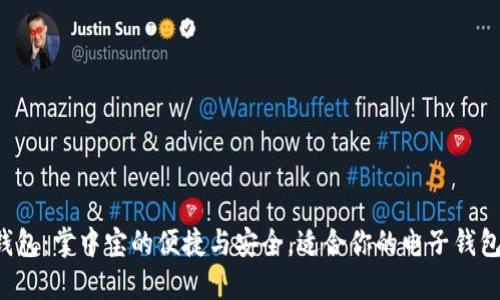 小狐钱包：掌中宝的便捷与安全，适合你的电子钱包选择！