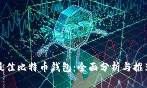 选择最佳比特币钱包：全面分析与推荐指南