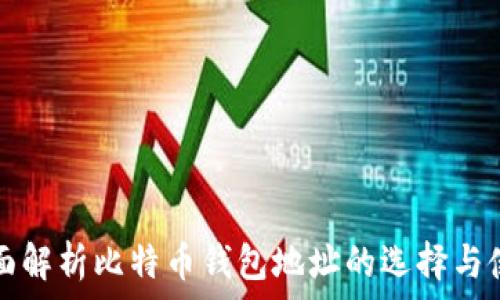  
全面解析比特币钱包地址的选择与使用