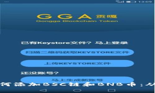 全面解析小狐钱包如何添加BSC链和BNB币：从基础配置到实用技巧