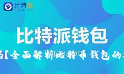 比特币钱包安全吗？全面解析比特币钱包的安全性与选择指南