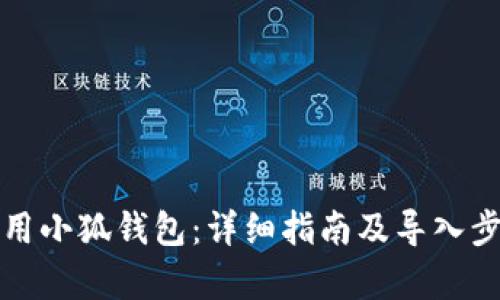 如何使用小狐钱包：详细指南及导入步骤解析